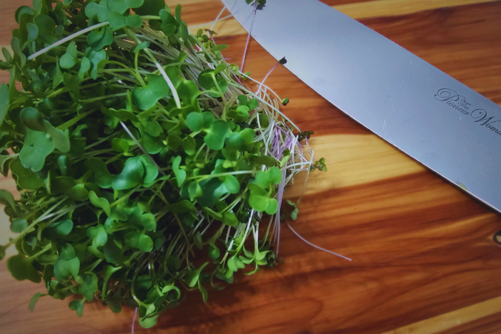 broccoli microgreens on cutting board